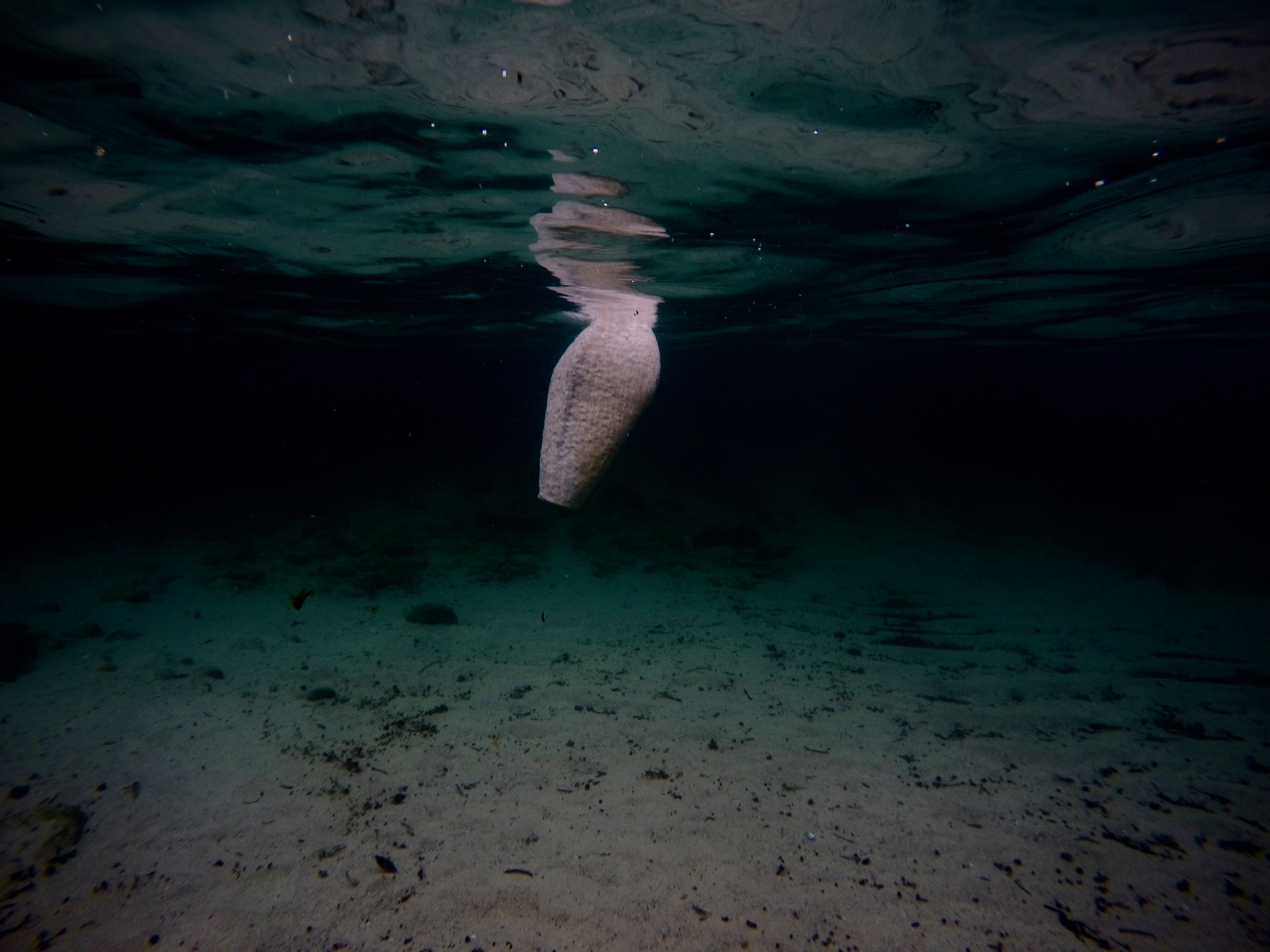 DCIM100GOPROG0111190.