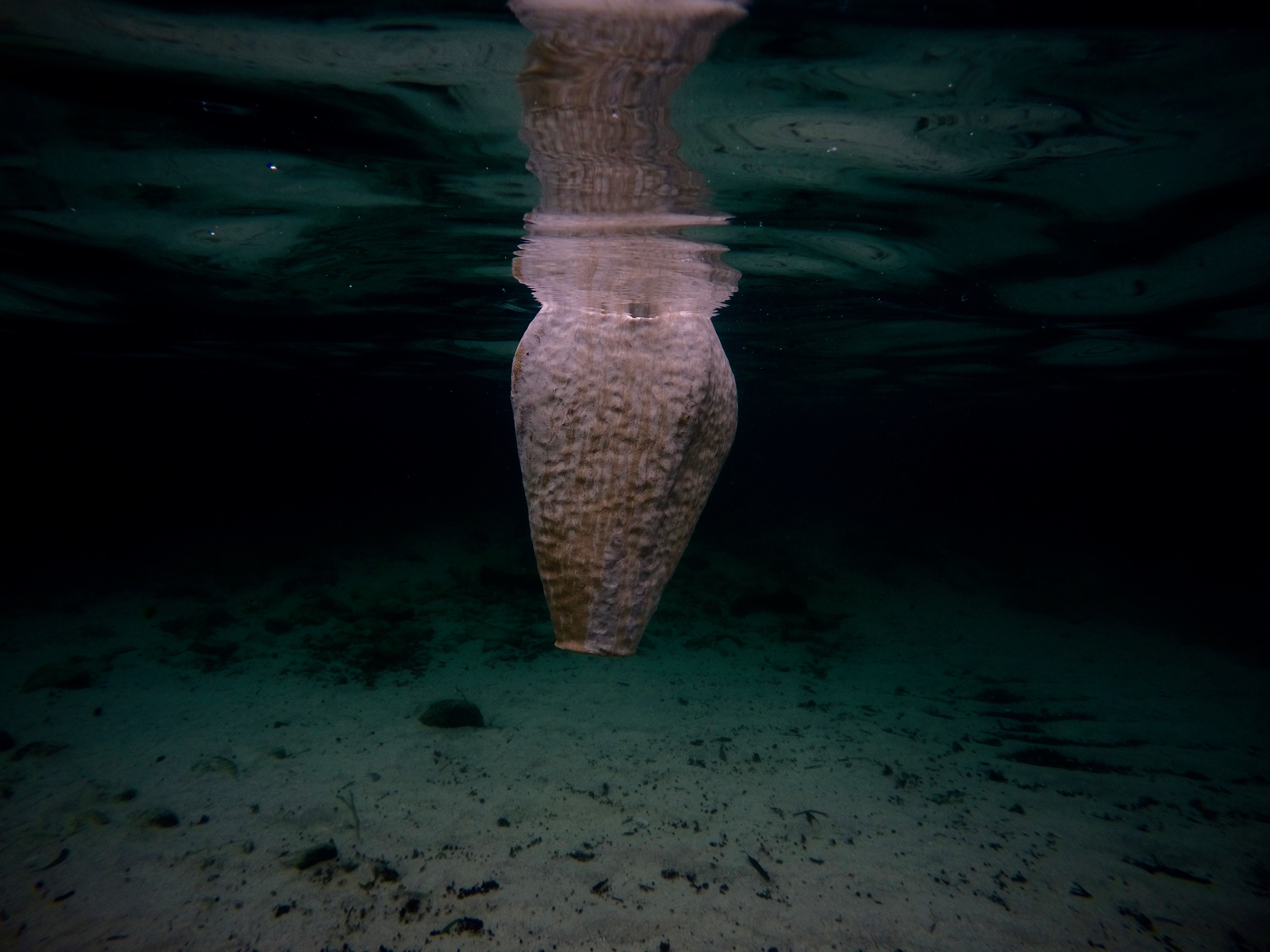 DCIM100GOPROG0121191.