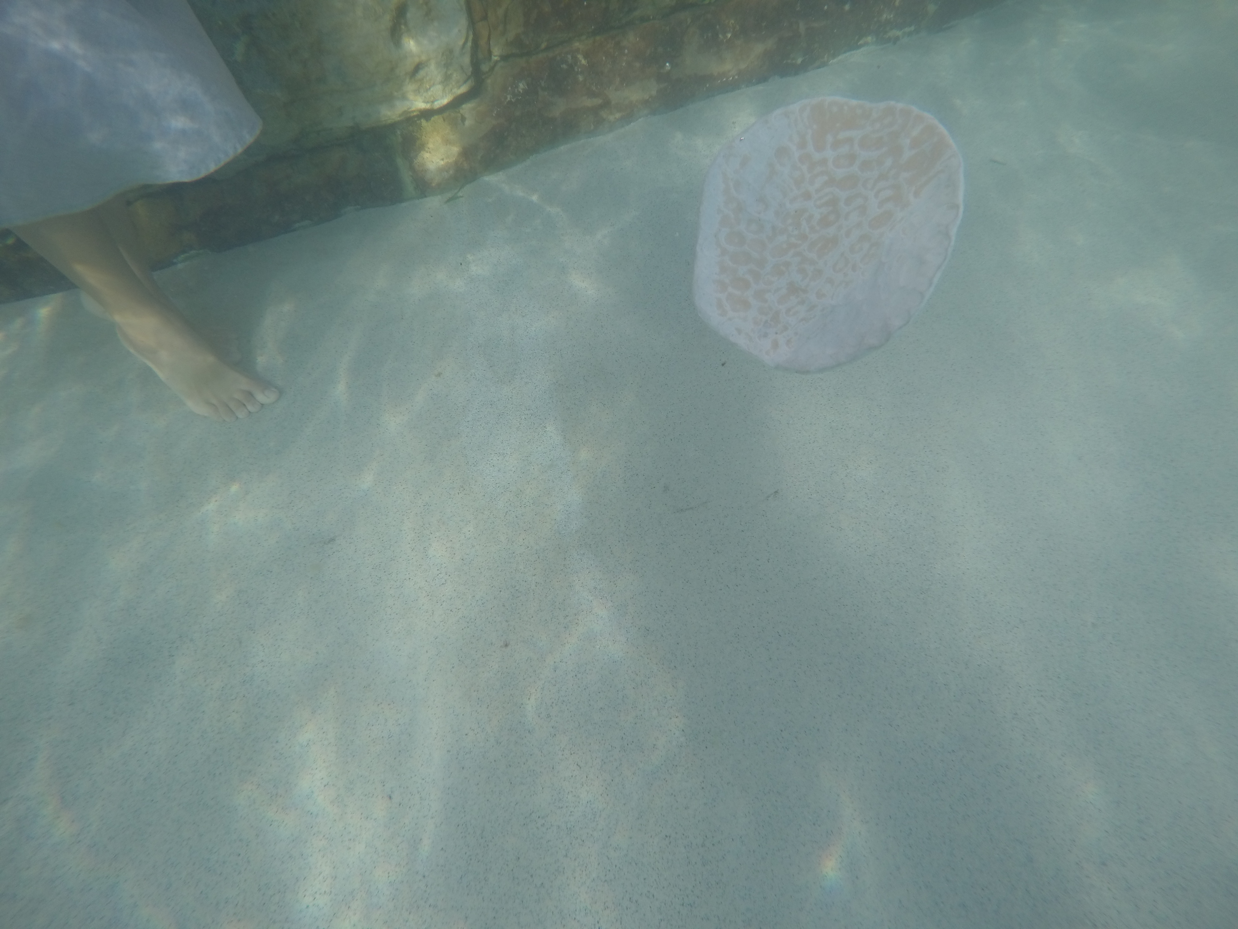 DCIM100GOPROGOPR1048.