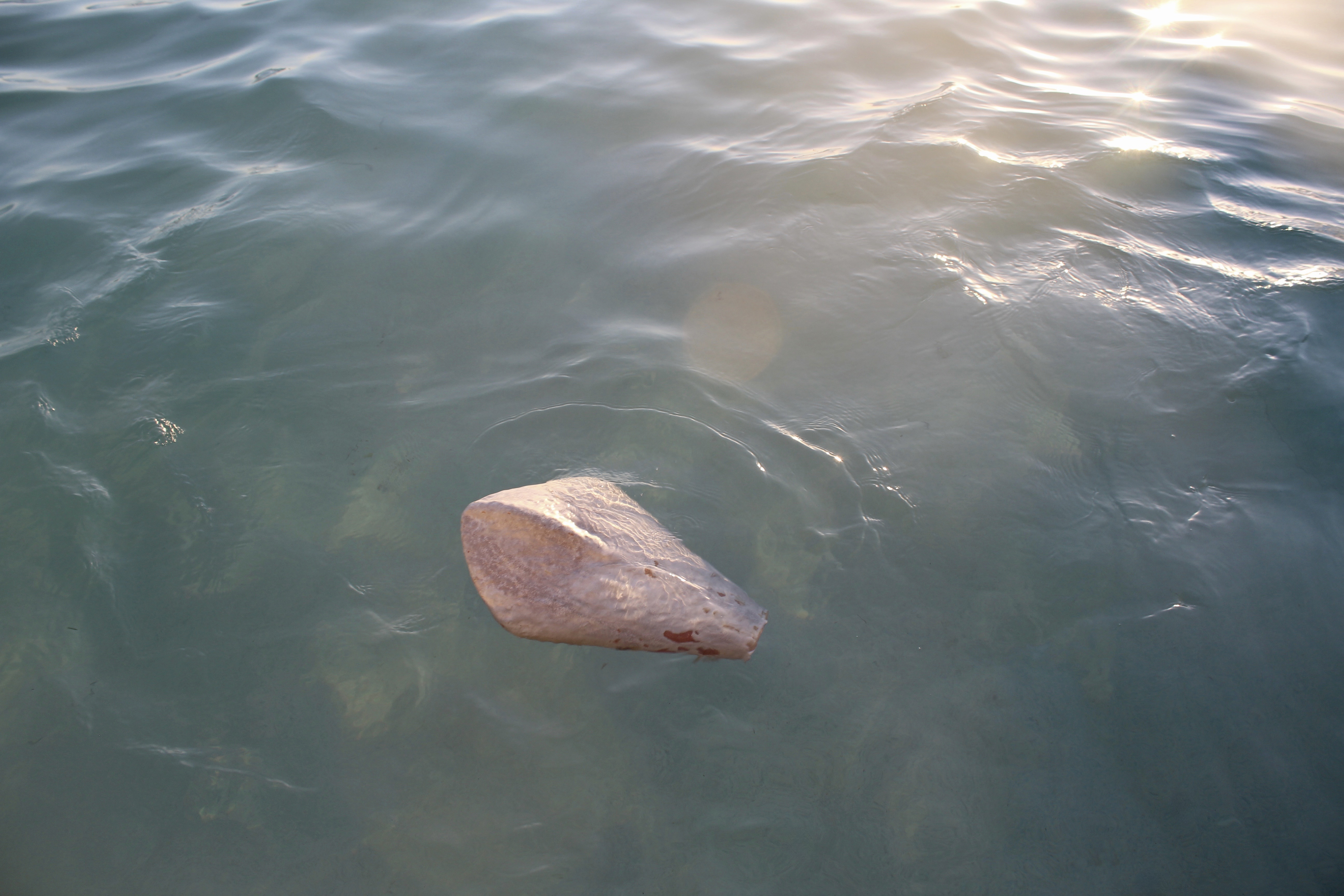 RachaelHarrex_TillWeHaveFaces